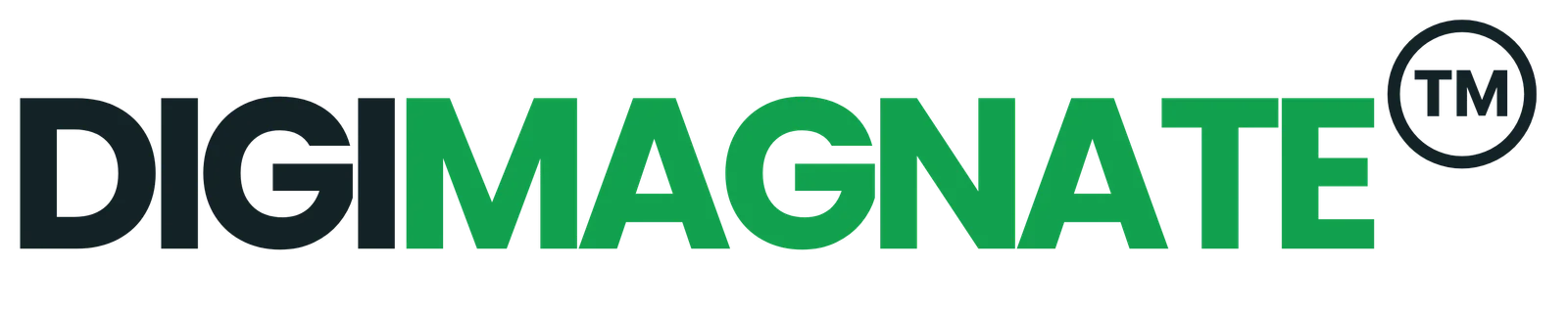 Digimagnate Portfolio